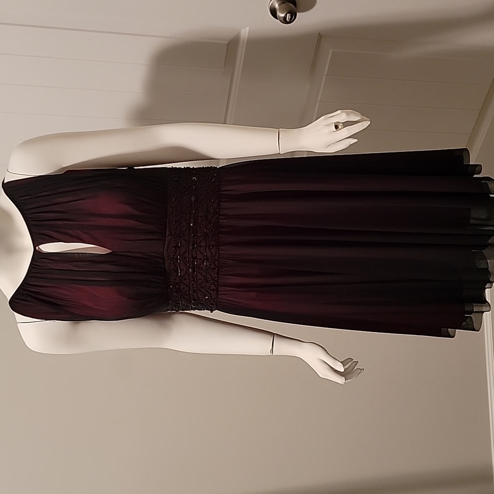 Plum dress size 12